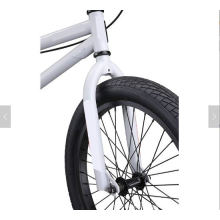 BMX Freestyle Bike Line for Beginner-Level to Advanced Riders, Steel Frame, 20-Inch Wheels